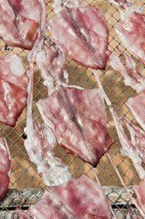 Dried squid in thailand