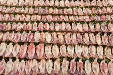 Dried squid in thailand