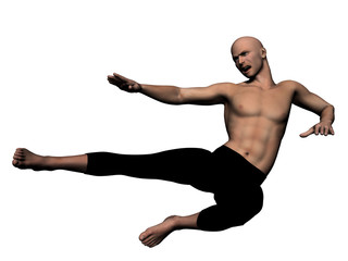 Fototapeta premium Kung Fu fighter