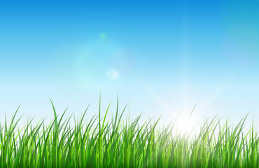 Fototapeta na wymiar Nature green background, grass sun and blue sky.