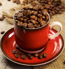 coffee