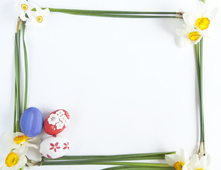 Easter eggs and Narcissus