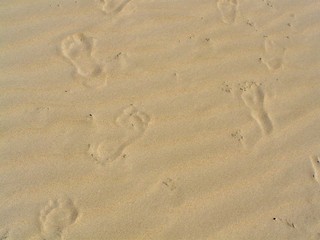Fototapeta na wymiar spuren im Sand
