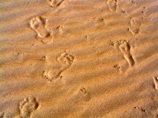 spuren im Sand