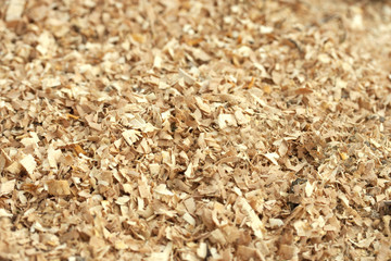 Sawdust wood