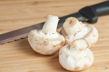 Mushrooms