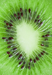 Closeup of kiwi slice