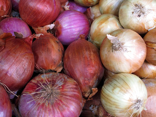 Close-up of fresh red & white onions