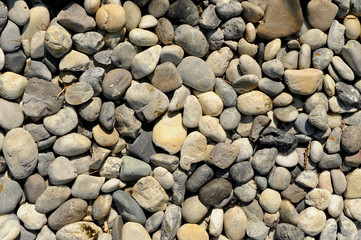 rock