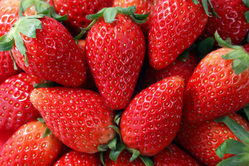 Korea Strawberry