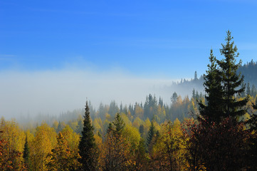 Утренний туман в уральских горах