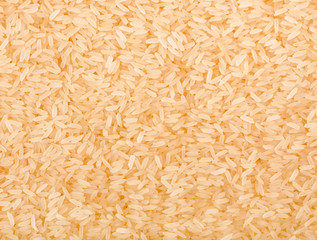 close up view of rice grain