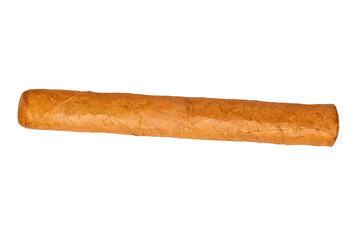 Cuban cigar on a white background