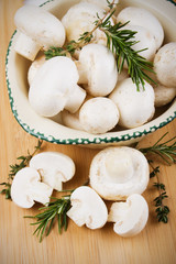 Fresh champignon mushrooms