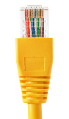 A network RJ45 connector isolated on a white background