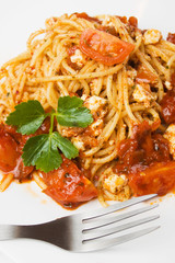 Spaghetti pasta with cheese and tomato sauce