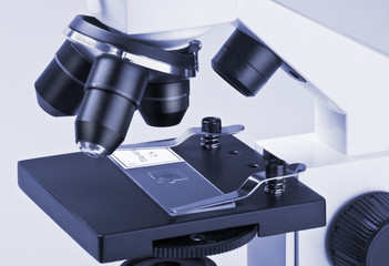 viewed under a microscope