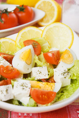 Egg and cheese salad
