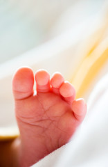 baby foot