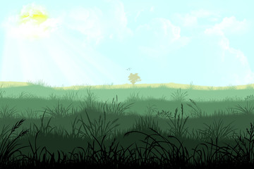 Summer Meadow