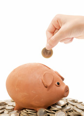 piggy bank savings