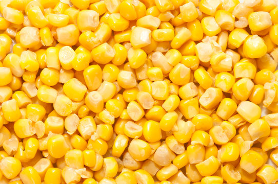 Corn background pattern