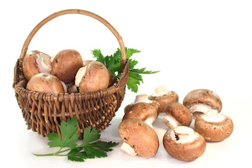 Champignons