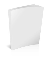 blank brochure