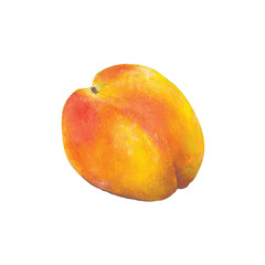 Hand painted peach