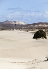 Fototapeta na wymiar Desert Viana
