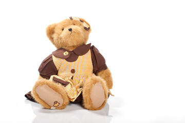 Teddy-bear isolated on a white background