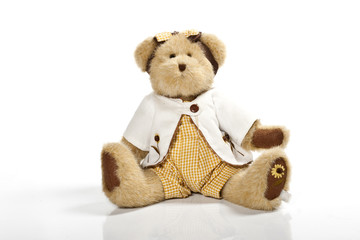 Teddy-bear isolated on a white background