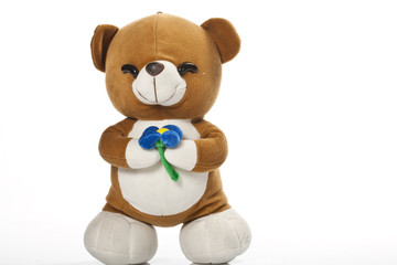 Teddy-bear isolated on a white background