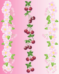 cherries and blossom