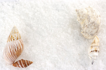 Seashells on bath salt