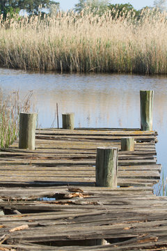 vieux ponton sur etang