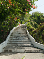 Escalier fleuri, baie des Saintes, Guadeloupe