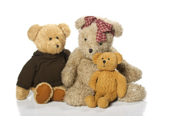 Teddy-bear isolated on a white background