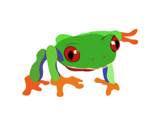 Green frog
