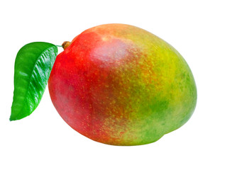 Mango isolated on white background