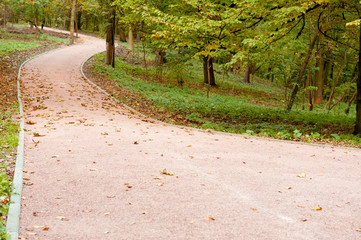 Footpath in autumn park