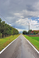 Fototapeta na wymiar Italy Padana plain relaxing countryside road