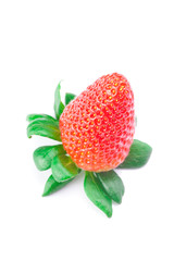 big juicy red ripe strawberries isolated on white