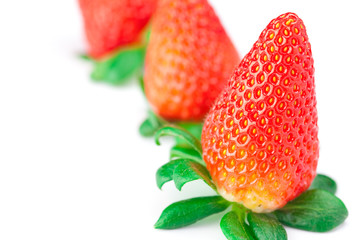 big juicy red ripe strawberries isolated on white