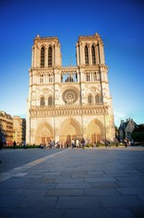 Fototapeta na wymiar Paryż (Francja) - Katedra Notre Dame