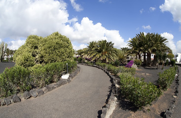 tropischer Garten auf Lanzarote