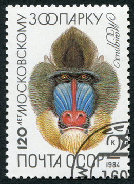Postage stamp 1984 USSR: 120 anniversary of the Moscow Zoo