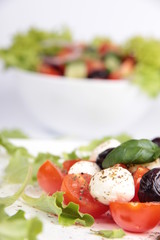 Fresh vegetable salad