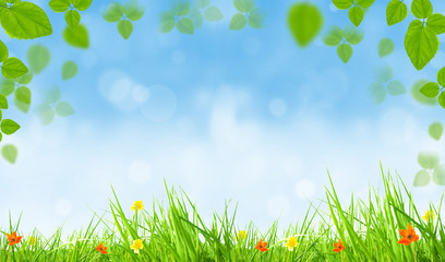 Obraz premium Fresh meadow