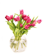 BOuquet of fresh tulips in vase, isolated on white background